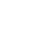 alt-download-introduce-icon-02